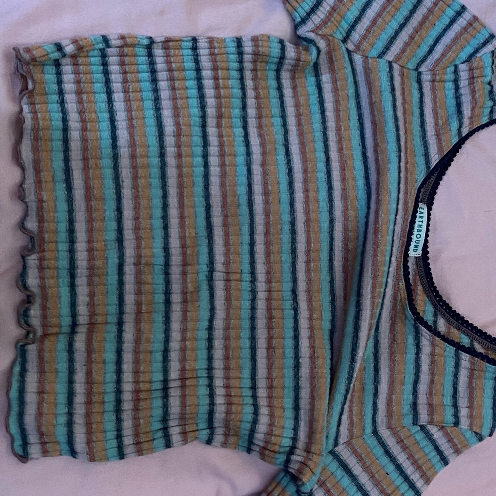 earthbound crop top